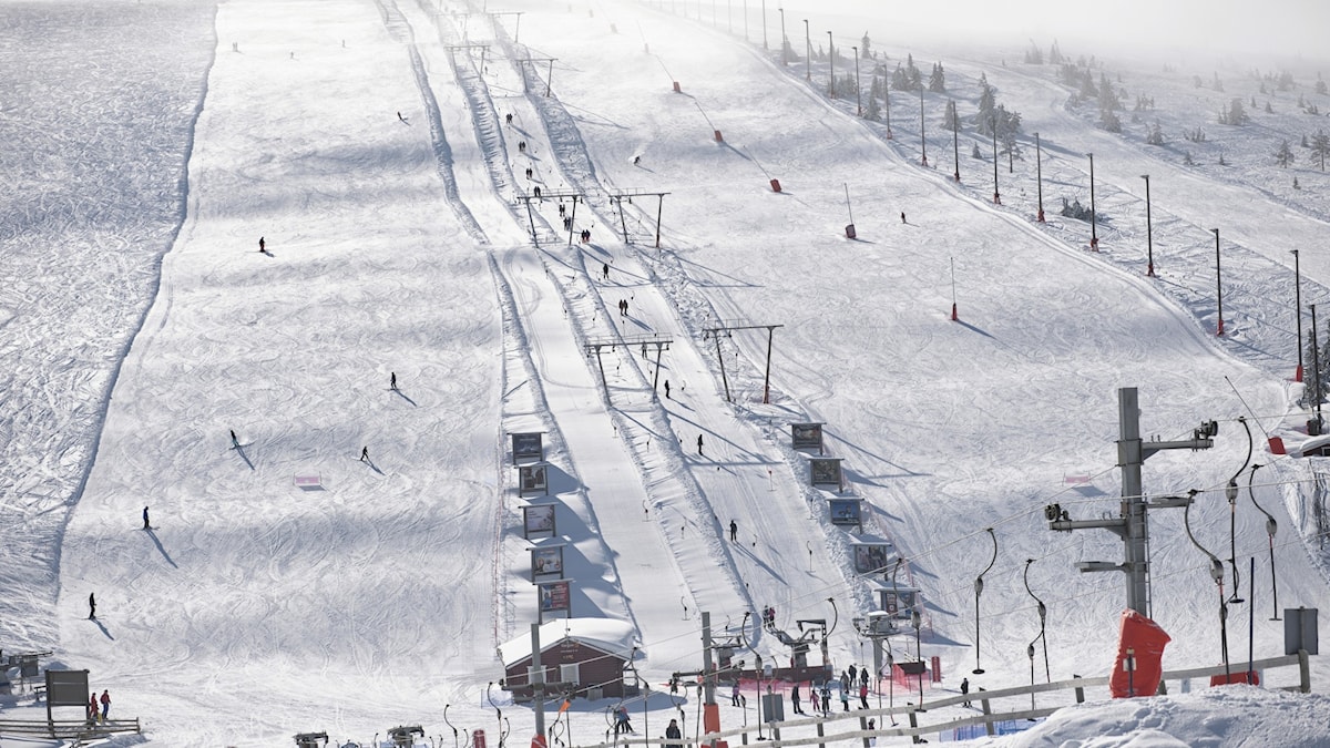 Winter in mountains