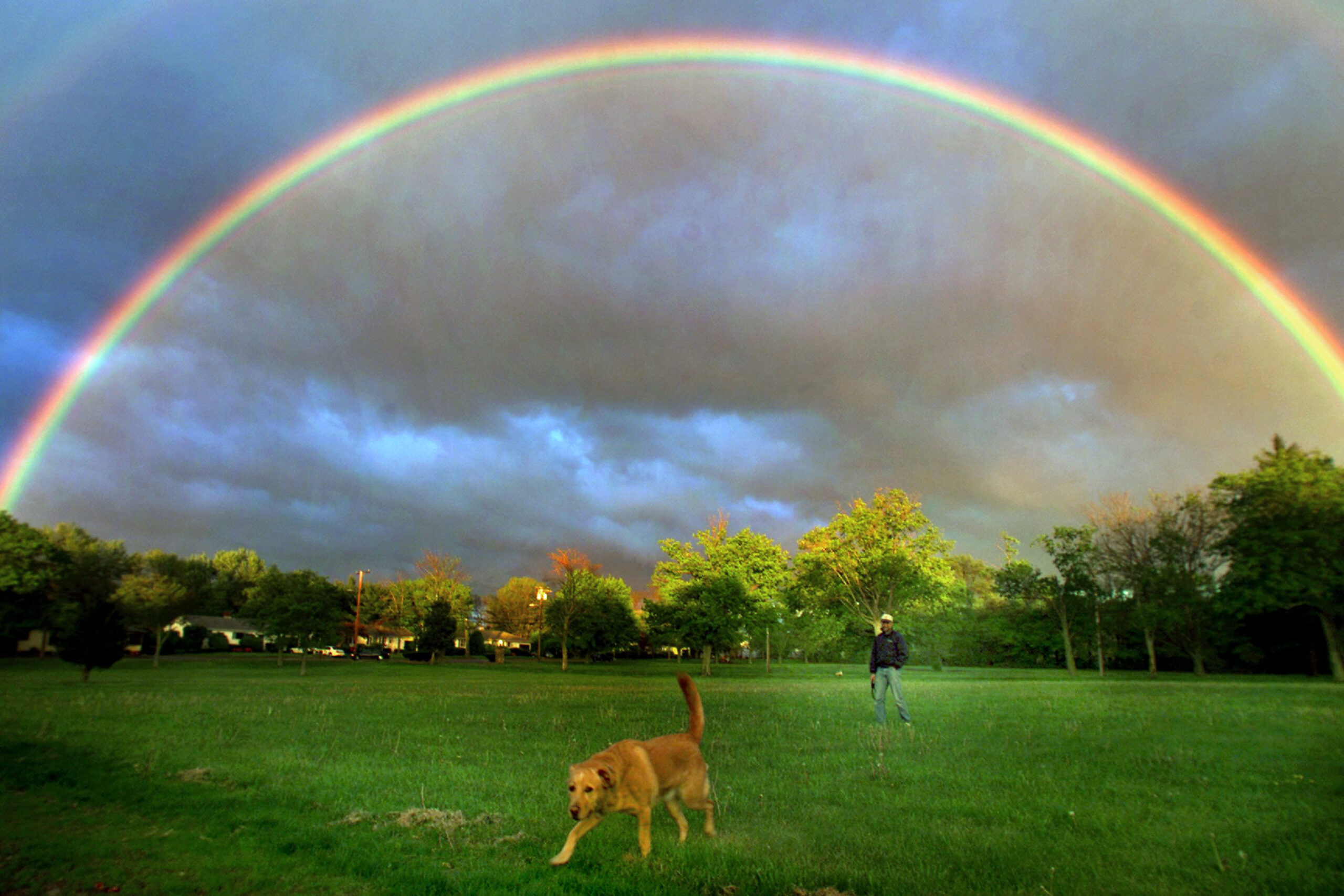 BRAINTREE RAINBOW