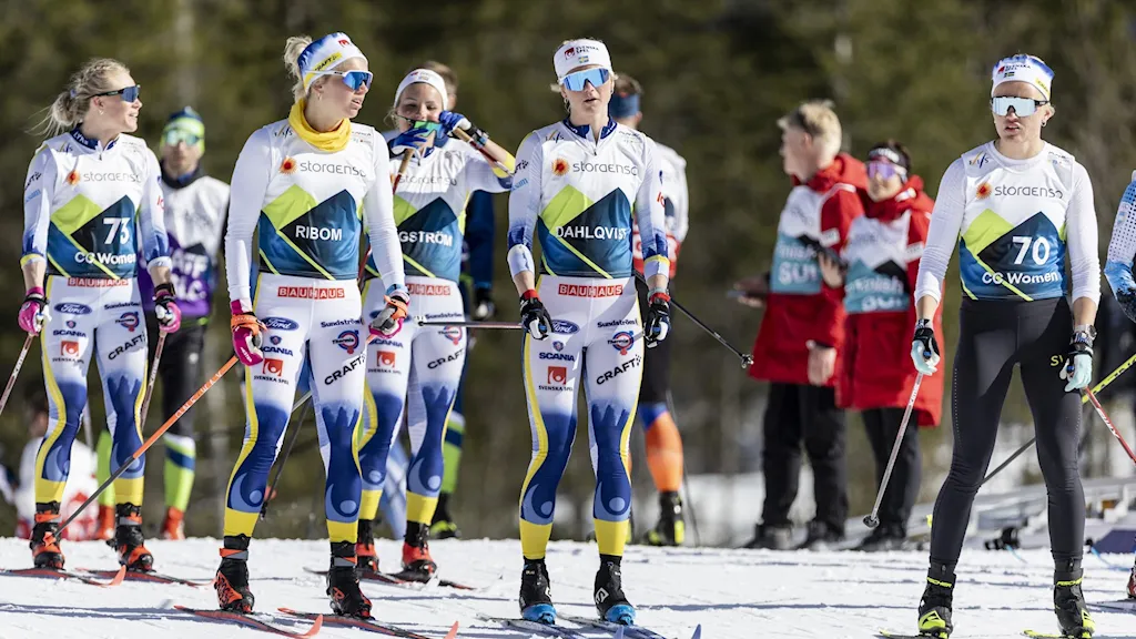 Members of the Swedish team