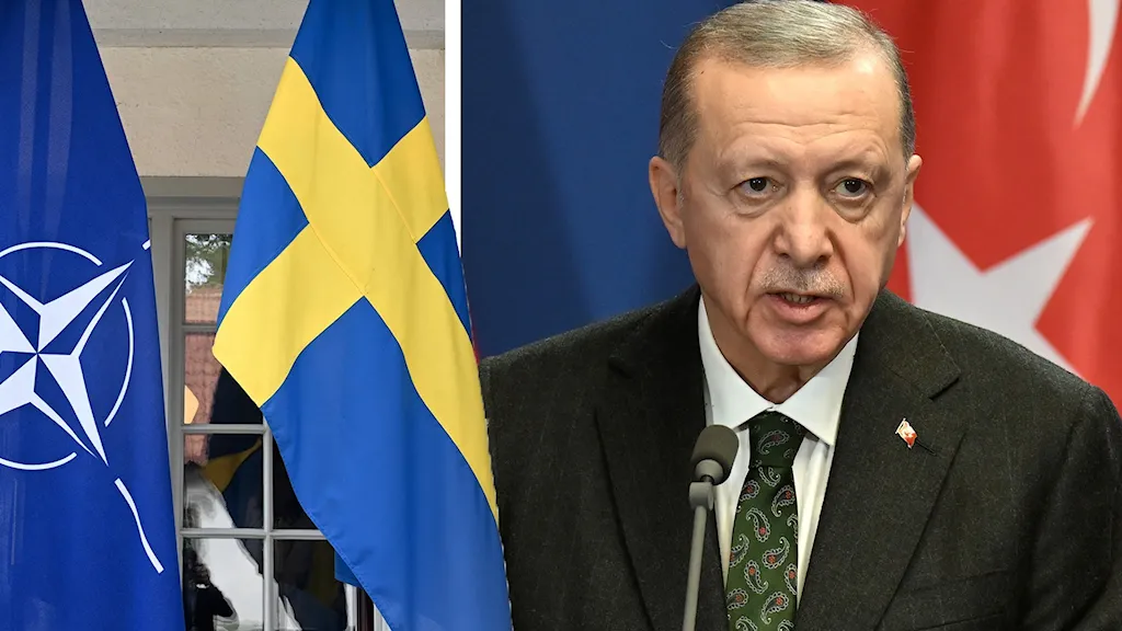 Turkiet, Sverige, Nato